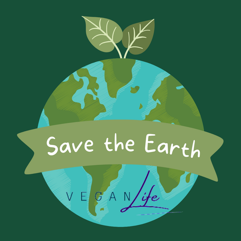 Earth Day Inspiration: Embracing Sustainability at The Vegan Life Shop