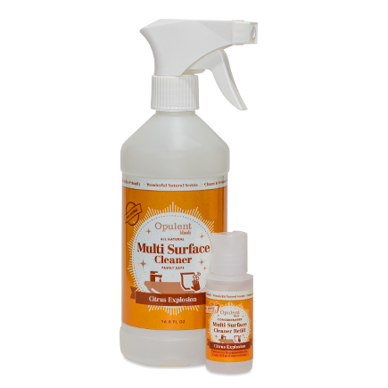Multisurface Cleaner Starter Kit - Citrus