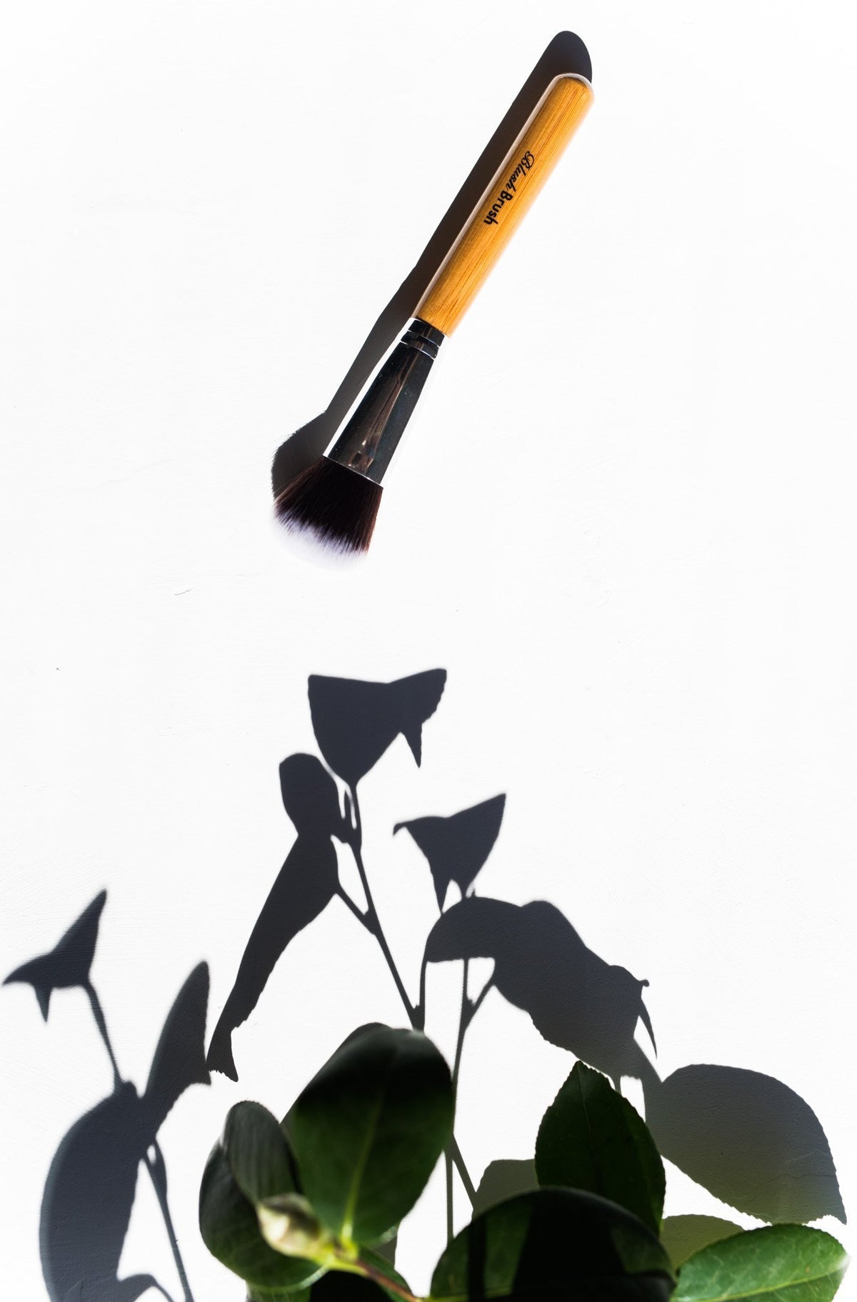 Vegan Blush Brush - The Vegan Life